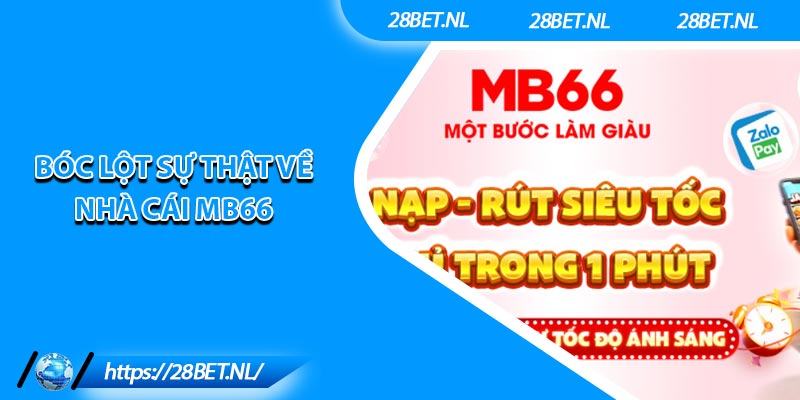 MB66